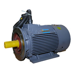 YD、YDT系列變極多速電動(dòng)機(jī)